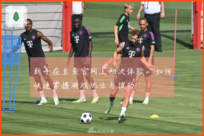 新手在乐鱼官网上初次体验，如何快速掌握游戏玩法与技巧